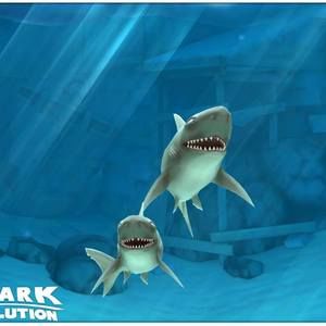 Meet your Posher, Loretta